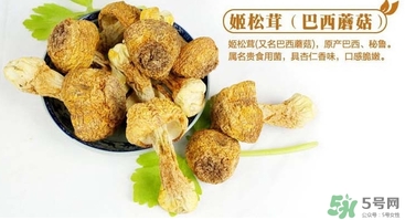 巴西蘑菇怎么吃？巴西蘑菇的作用與功效