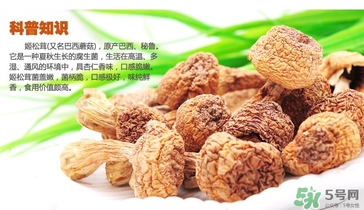 巴西蘑菇怎么吃？巴西蘑菇的作用與功效