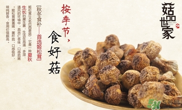 巴西蘑菇怎么吃？巴西蘑菇的作用與功效