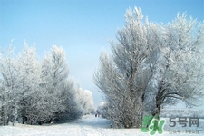 下雪天要打傘嗎？下雪天到底要不要打傘？