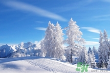 下雪天要打傘嗎？下雪天到底要不要打傘？