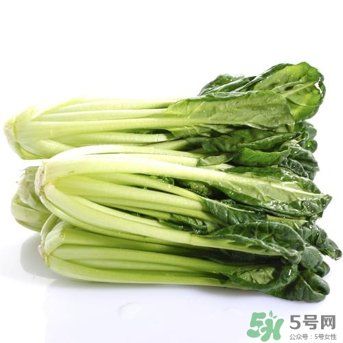烏塌菜的營養(yǎng)價(jià)值 烏塌菜的功效與作用 烏塌菜的營養(yǎng)價(jià)值 烏塌菜的功效與作用