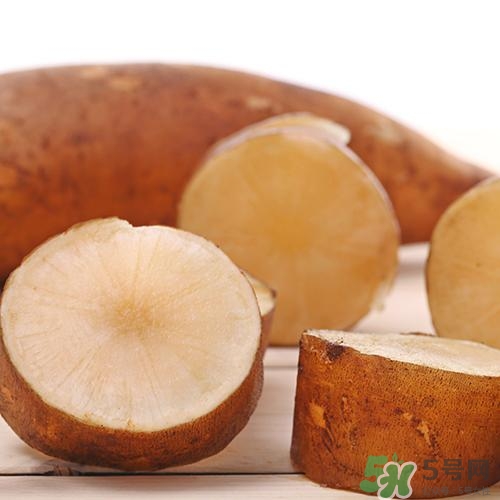 雪蓮果可以空腹吃嗎?雪蓮果空腹吃好嗎 雪蓮果可以空腹吃嗎?雪蓮果空腹吃好嗎