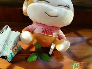 茱莉蔻玫瑰面膜怎么用？jurlique茱莉蔻玫瑰面膜使用方法