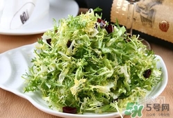 苦菊可以減肥嗎？苦菊怎么吃可以減肥？