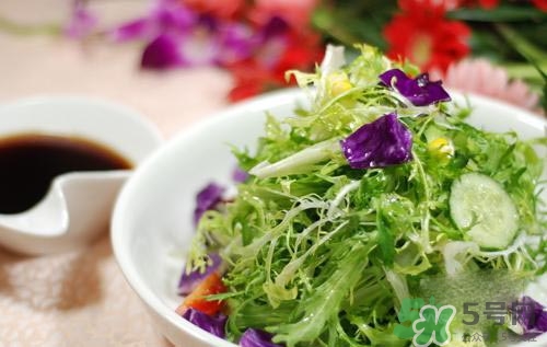 苦菊可以減肥嗎？苦菊怎么吃可以減肥？