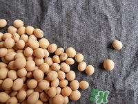 乳腺增生可以喝豆?jié){嗎?乳腺增生喝豆?jié){好嗎 乳腺增生可以喝豆?jié){嗎?乳腺增生喝豆?jié){好嗎