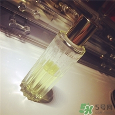 奧爾濱黃金油怎么用?奧爾濱黃金油使用方法 奧爾濱黃金油怎么用?奧爾濱黃金油使用方法