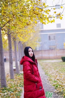 波司登羽絨服質(zhì)量怎么樣?波司登羽絨服好嗎? 波司登羽絨服質(zhì)量怎么樣?波司登羽絨服好嗎?