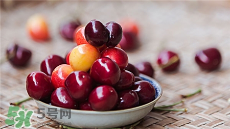 車?yán)遄拥臓I養(yǎng)價(jià)值 車?yán)遄拥墓πc作用 車?yán)遄拥臓I養(yǎng)價(jià)值 車?yán)遄拥墓πc作用