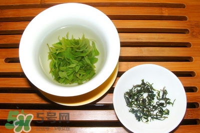 苦丁茶可以減肥嗎?苦丁茶減肥方法 苦丁茶可以減肥嗎?苦丁茶減肥方法