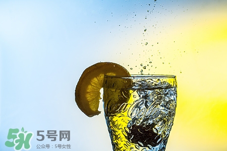 苦丁茶怎么泡?苦丁茶怎么喝最佳方案 苦丁茶怎么泡?苦丁茶怎么喝最佳方案