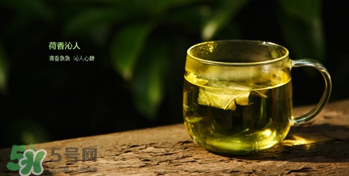 小孩子可以喝荷葉茶嗎?小孩喝荷葉茶好嗎 小孩子可以喝荷葉茶嗎?小孩喝荷葉茶好嗎