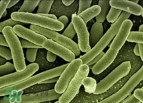 皮膚癌早期癥狀是什么?皮膚癌早期會癢嗎 皮膚癌早期癥狀是什么?皮膚癌早期會癢嗎