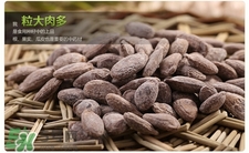 吊瓜子的營養(yǎng)價(jià)值 吊瓜子的功效與作用 吊瓜子的營養(yǎng)價(jià)值 吊瓜子的功效與作用