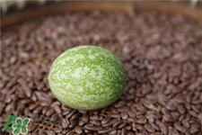 吊瓜子的營養(yǎng)價值 吊瓜子的功效與作用 吊瓜子的營養(yǎng)價值 吊瓜子的功效與作用