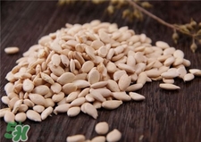 冬瓜子怎么吃?冬瓜籽的功效與作用 冬瓜子怎么吃?冬瓜籽的功效與作用