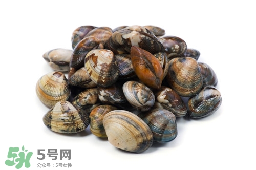 海瓜子是什么?吃海瓜子有什么好處 海瓜子是什么?吃海瓜子有什么好處