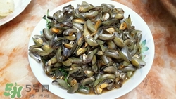 海瓜子是什么?吃海瓜子有什么好處 海瓜子是什么?吃海瓜子有什么好處