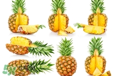 春節(jié)吃什么水果好？春節(jié)吃什么水果解油膩？