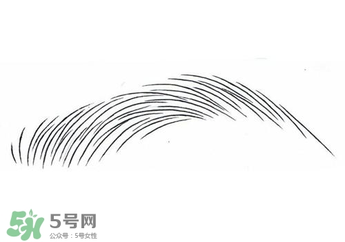 掉眉毛是怎么回事？掉眉毛還會(huì)長嗎？