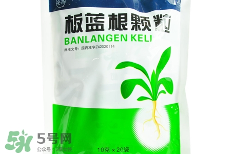 冬天喝板藍(lán)根好嗎？板藍(lán)根的功效與作用