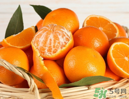 桔子籽的功效與作用 橘子籽的功效與作用 桔子籽的功效與作用 橘子籽的功效與作用