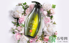 滋源洗發(fā)水怎么樣？滋源生姜洗發(fā)水怎么樣