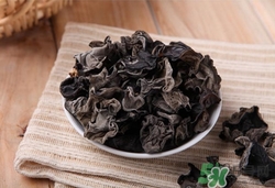 木耳和銀耳能一起吃嗎?一起吃有什么好處 木耳和銀耳能一起吃嗎?一起吃有什么好處