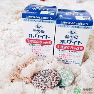 命之母怎么吃?命之母怎么服用? 命之母怎么吃?命之母怎么服用?