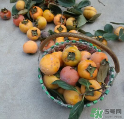 柿子長(zhǎng)白點(diǎn)還能吃嗎？柿子上有白點(diǎn)能吃嗎？