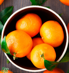 新鮮的桔子怎么保存？新鮮桔子儲(chǔ)存方法