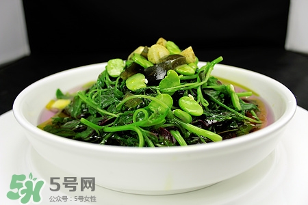 蠶豆可以降血壓?jiǎn)?降血壓效果好嗎 蠶豆可以降血壓?jiǎn)?降血壓效果好嗎