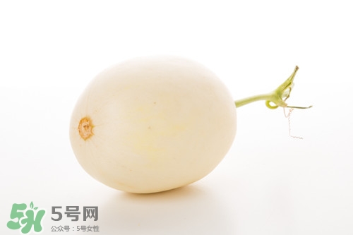 白金瓜是什么樣子的?白金瓜的功效與作用 白金瓜是什么樣子的?白金瓜的功效與作用