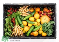 芥蘭可以涼拌嗎?芥蘭涼拌的做法 芥蘭可以涼拌嗎?芥蘭涼拌的做法