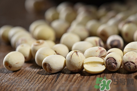 寶寶能吃蓮子心嗎?寶寶吃蓮子心好嗎 寶寶能吃蓮子心嗎?寶寶吃蓮子心好嗎