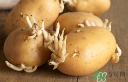 土豆長(zhǎng)芽了還能吃嗎?土豆長(zhǎng)芽了可以吃嗎? 土豆長(zhǎng)芽了還能吃嗎?土豆長(zhǎng)芽了可以吃嗎?