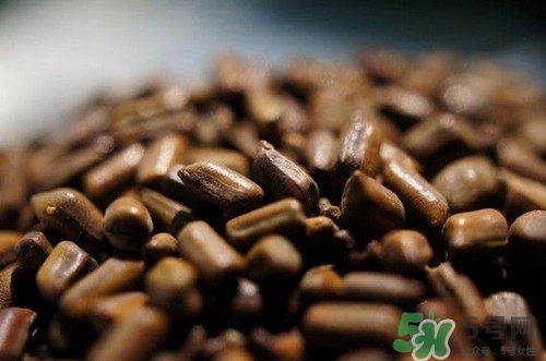 糖尿病可以吃決明子嗎?糖尿病吃決明子好嗎 糖尿病可以吃決明子嗎?糖尿病吃決明子好嗎