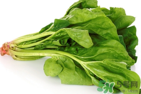 菠菜可以生吃嗎？菠菜能直接生吃嗎？