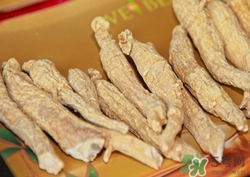 高血壓可以吃西洋參嗎?高血壓吃西洋參好嗎 高血壓可以吃西洋參嗎?高血壓吃西洋參好嗎