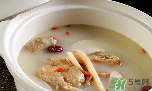 天麻鴿子湯怎么燉?天麻鴿子湯的功效與作用 天麻鴿子湯怎么燉?天麻鴿子湯的功效與作用