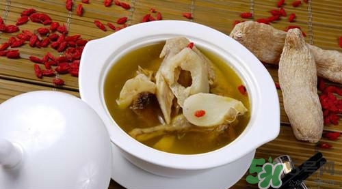 天麻鴿子湯怎么燉?天麻鴿子湯的功效與作用 天麻鴿子湯怎么燉?天麻鴿子湯的功效與作用