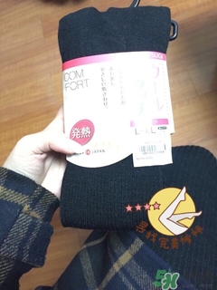 gunze郡是和厚木哪個好？郡是連褲襪和厚木對比