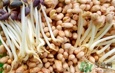 花生芽的營養(yǎng)價(jià)值 花生芽的功效與作用 花生芽的營養(yǎng)價(jià)值 花生芽的功效與作用