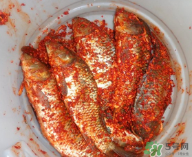 腌魚放多少鹽？腌魚放鹽的比例