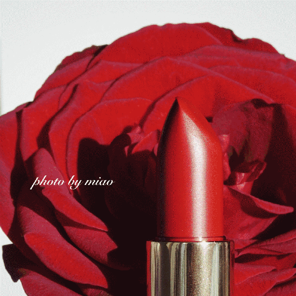 蘭蔻菁純絲絨唇膏290多少錢？蘭蔻菁純絲絨唇膏290專柜價格