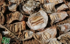 筍干發(fā)霉了還能吃嗎?筍干發(fā)黑還能吃嗎? 筍干發(fā)霉了還能吃嗎?筍干發(fā)黑還能吃嗎?