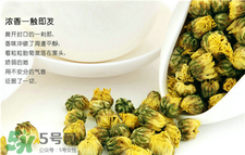 哺乳期可以喝菊花茶嗎?哺乳期喝菊花茶好嗎? 哺乳期可以喝菊花茶嗎?哺乳期喝菊花茶好嗎?