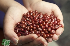 糖尿病人能吃紅豆嗎?糖尿病吃紅豆有什么好處 糖尿病人能吃紅豆嗎?糖尿病吃紅豆有什么好處