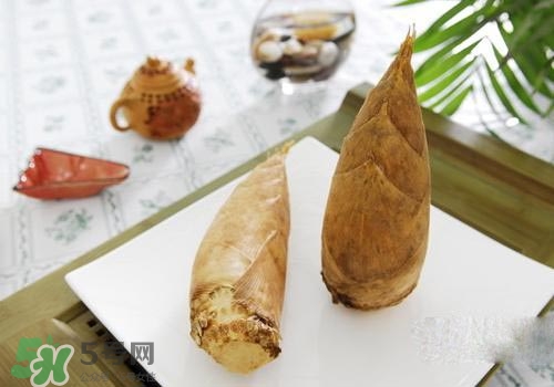 冬筍可以放冰箱嗎？冬筍放冰箱保存方法